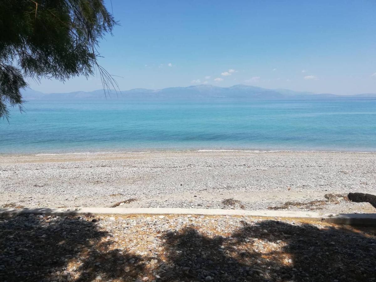 Olea Apartments Xylokastro Bagian luar foto